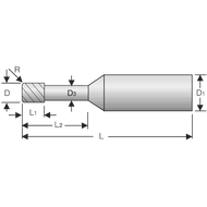 Mini-torus cutter SC 30° 0.5mm, L2=2.0mm, R=0.1mm Z=2 RockTec PRO